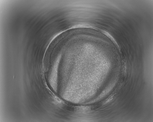 X0000058780996200510282006