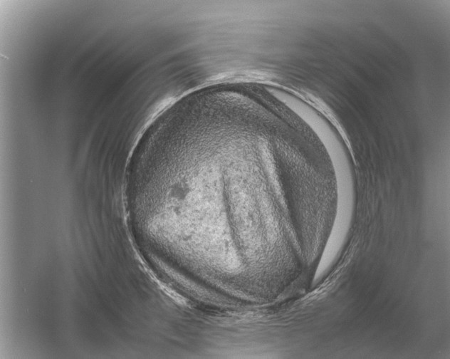 X0000058780997200510282006