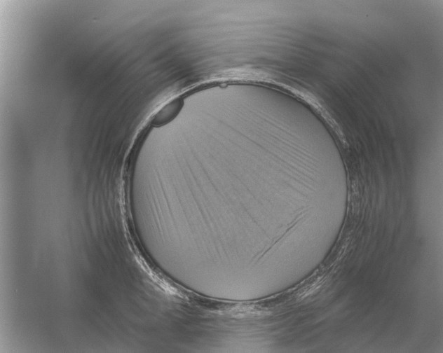 X0000058780998200510282006