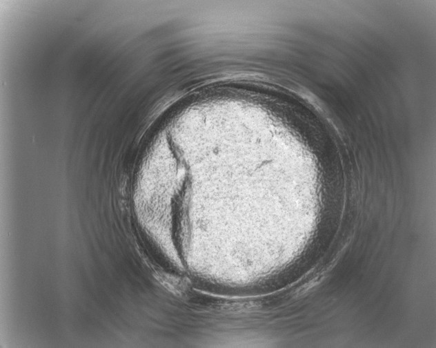 X0000058781001200510282006