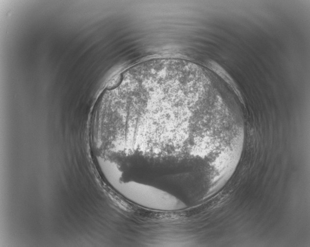 X0000058781002200510282006