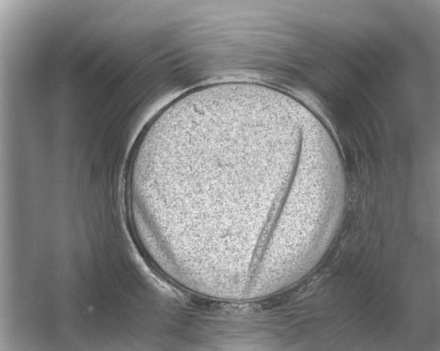 X0000058781003200510282006