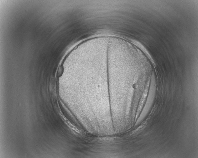 X0000058781004200510282006