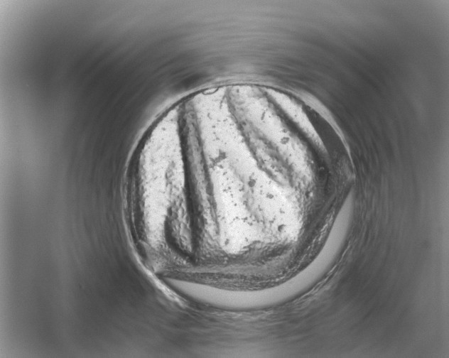 X0000058781005200510282006