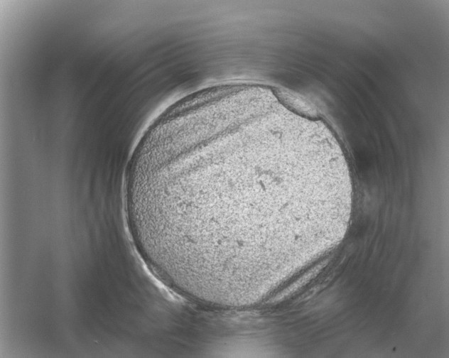 X0000058781006200510282006