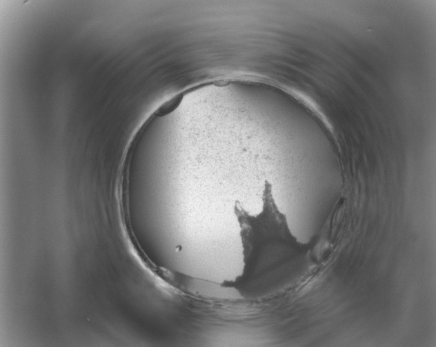 X0000058781007200510282006