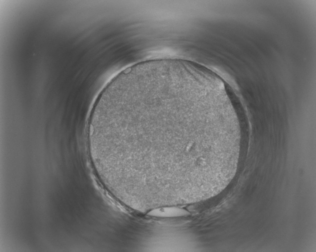 X0000058781008200510282006