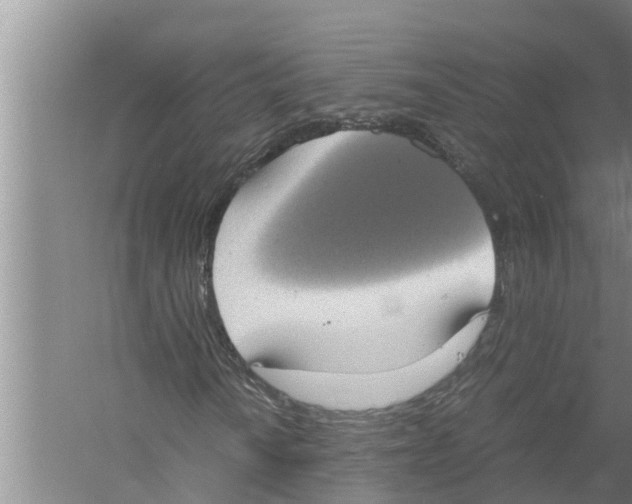 X0000058781010200510282005