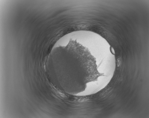 X0000058781011200510282005