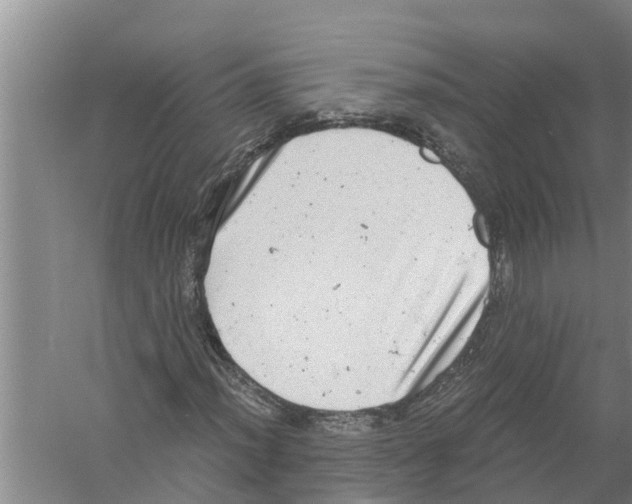 X0000058781012200510282005