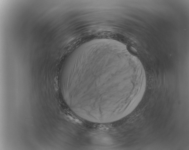 X0000058781013200510282005