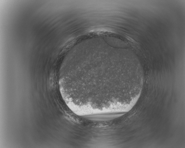 X0000058781014200510282005