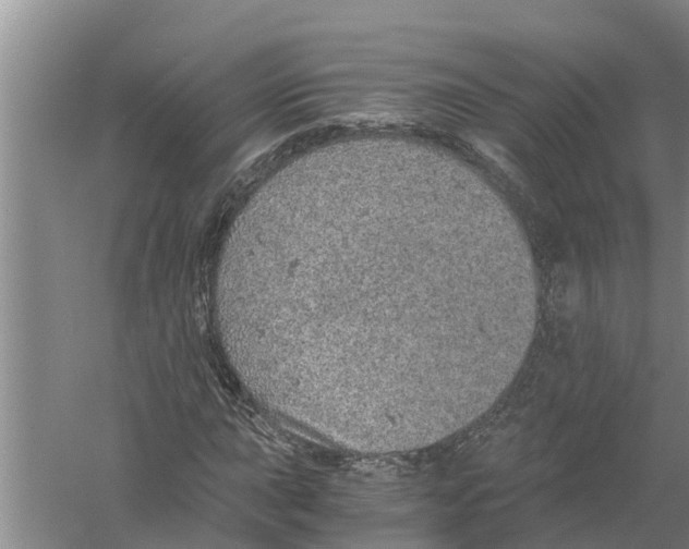 X0000058781015200510282005