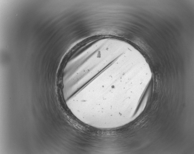 X0000058781020200510282005