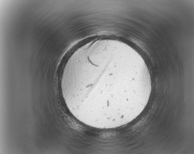 X0000058781021200510282005