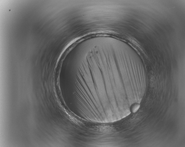 X0000058781024200510282005