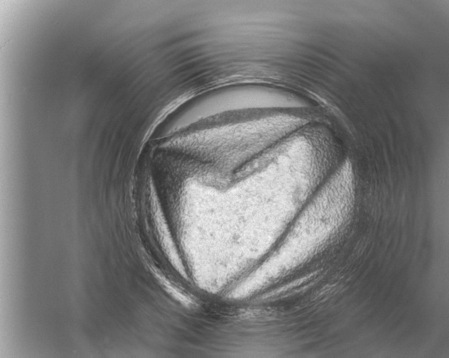 X0000058781026200510282005