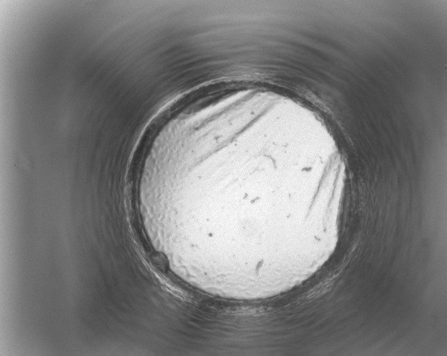 X0000058781029200510282005