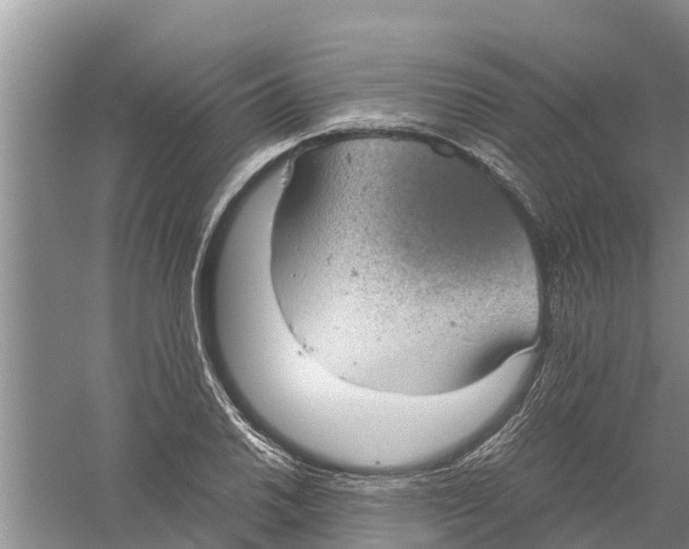 X0000058781030200510282005