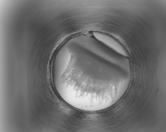 X0000058781031200510282005