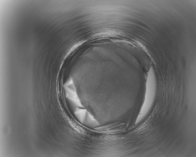 X0000058781034200510282005