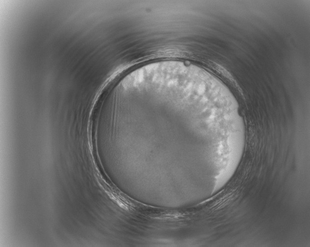 X0000058781035200510282005