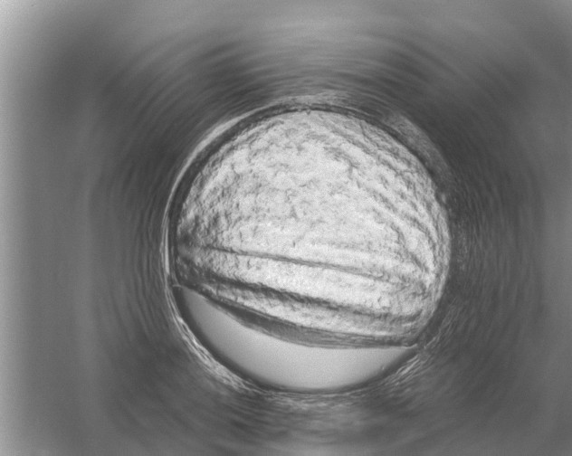 X0000058781036200510282005