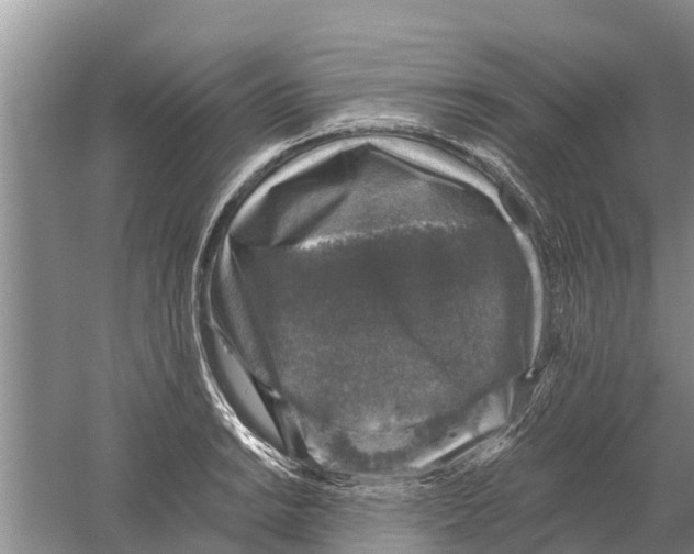 X0000058781038200510282005