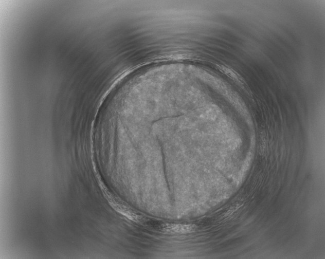 X0000058781039200510282005