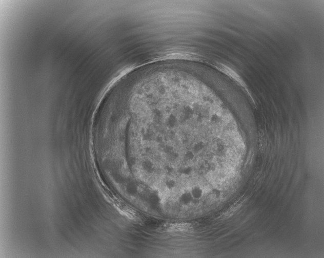 X0000058781043200510282006