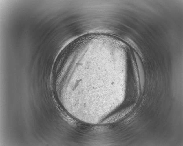 X0000058781044200510282006