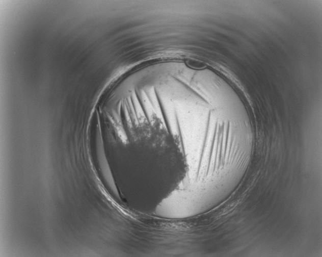 X0000058781045200510282006