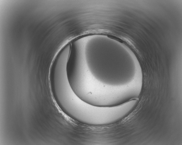 X0000058781046200510282006