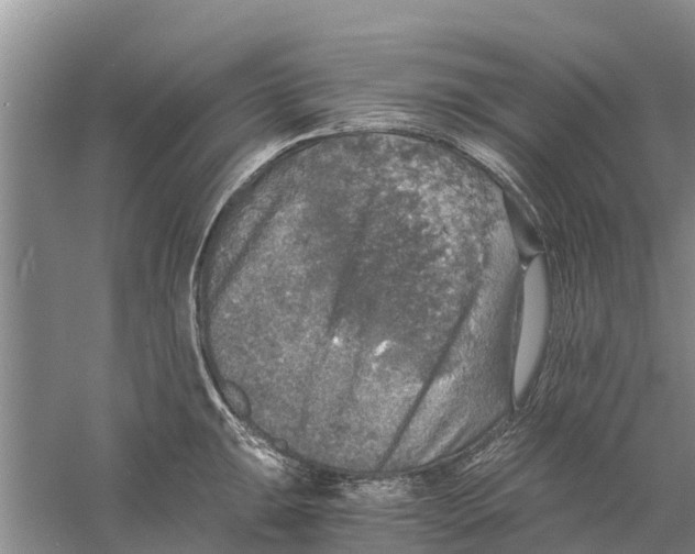 X0000058781047200510282006