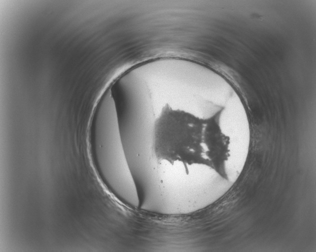 X0000058781048200510282006