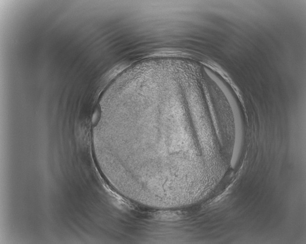 X0000058781049200510282006