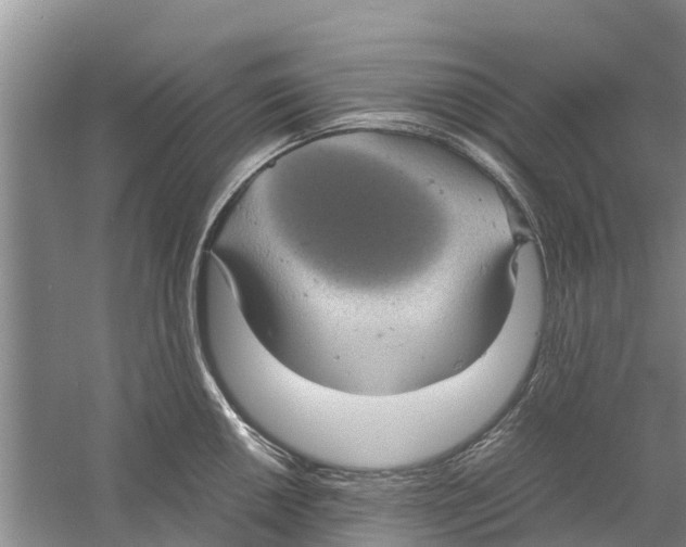 X0000058781050200510282006