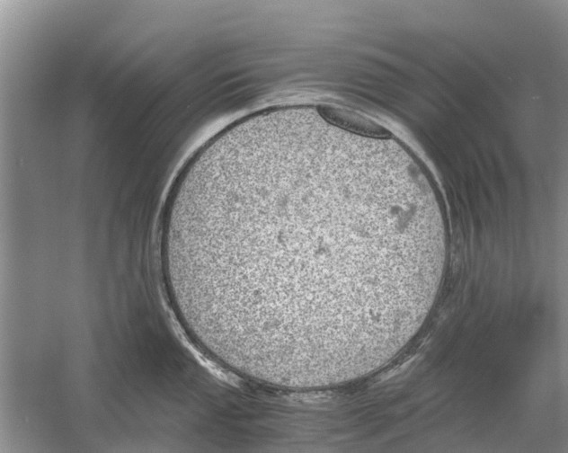 X0000058781053200510282006