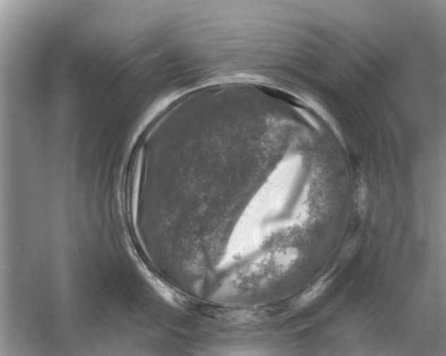 X0000058781054200510282006