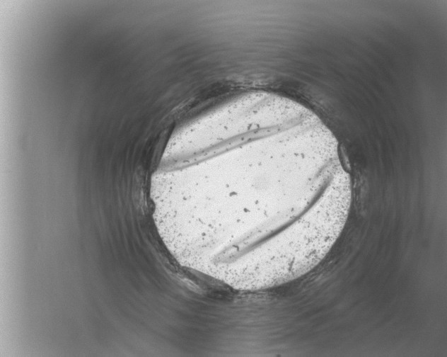 X0000058781058200510282005