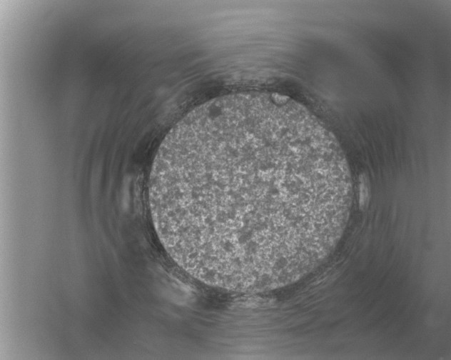 X0000058781059200510282005