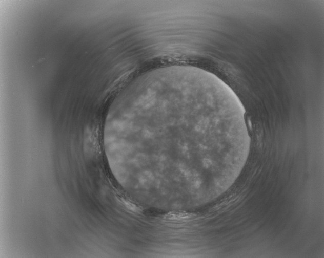 X0000058781060200510282005