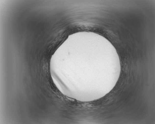 X0000058781061200510282005