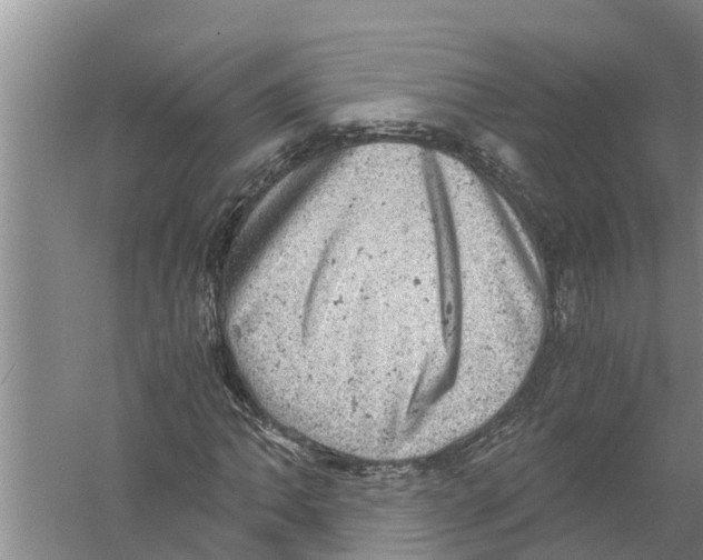 X0000058781062200510282005