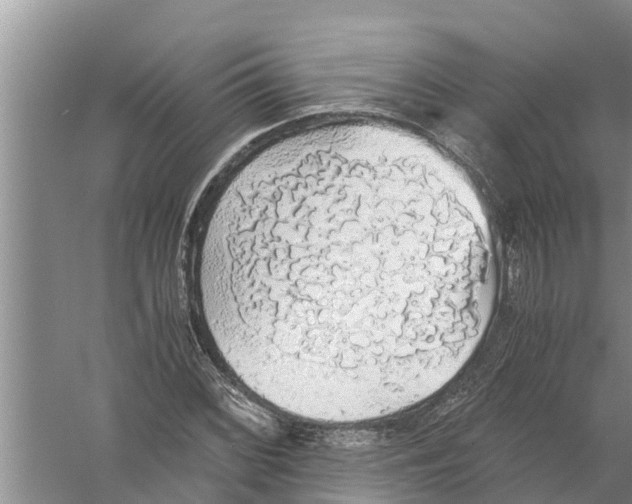 X0000058781068200510282005