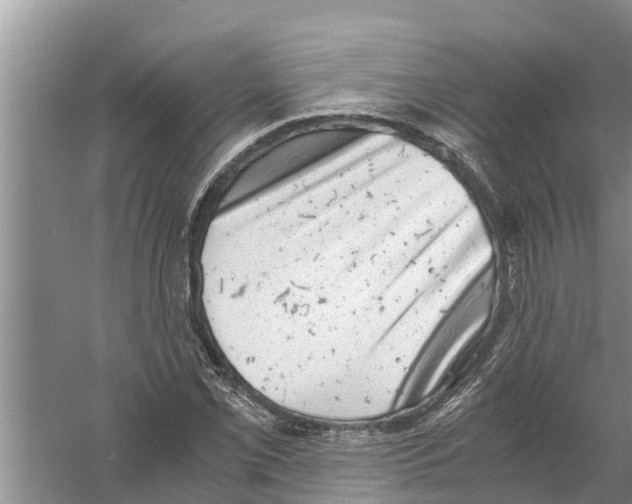 X0000058781069200510282005