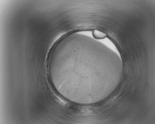 X0000058781071200510282005