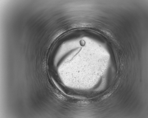 X0000058781073200510282005