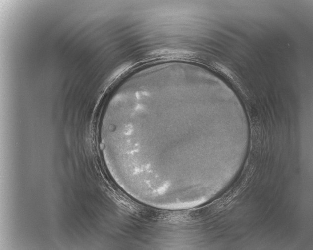 X0000058781074200510282005