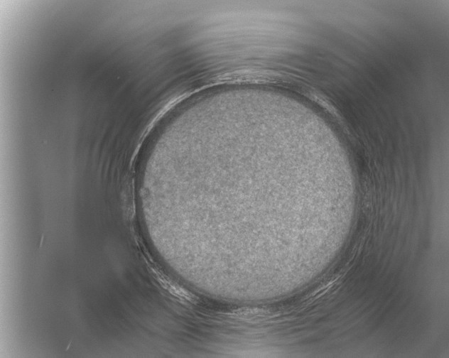 X0000058781075200510282005